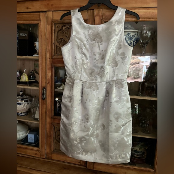 Shimmering Silver Forma Dress - Picture 1 of 3
